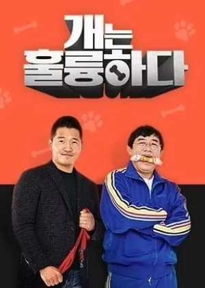 개는 훌륭하다